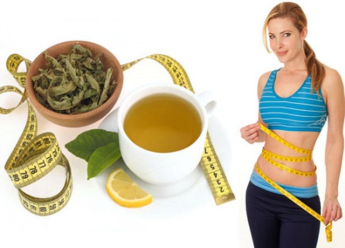 Tác dụng của lá trà xanh trong việc giảm cân